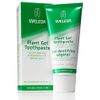 Plant Gel Toothpaste