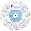 Pregnancy Wheel & Ovulation Calendar