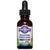 Premium Echinacea Liquid Extract, Organic, Alcohol Free