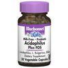 Probiotic Acidophilus Plus FOS, Milk Free