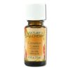 Pure Essential Oil Cinnamon Cassia
