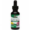 Red Clover Extract Liquid Alcohol-Free