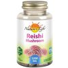 Reishi Mushroom