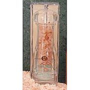 Salt Mill Round with Ceramic Grinder, Aloha Bay