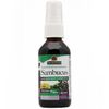Sambucus Black Elder Berry Extract Spray, Alcohol-Free