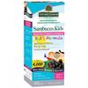 Sambucus Kid's Formula, Black Elderberry Extract