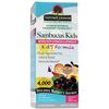 Sambucus Kids Formula, Value Size