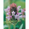 Self-Heal Dropper