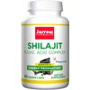 Shilajit Fulvic Acid Complex