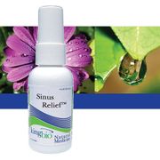 Sinus Relief, 2 oz, King Bio Homeopathic (KingBio)