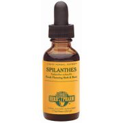 Spilanthes Extract Liquid, 4 oz, Herb Pharm