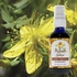 St. John's Shield, Herbal Flower Oil
