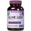 Standardized Olive Leaf Herb Extract