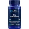 Soy Isoflavones