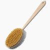 Tampico Skin Brush