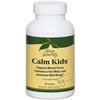 Calm Kids, Mental Focus & Mind Calmness