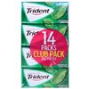 Sugar Free Gum with Xylitol, Spearmint