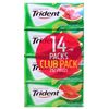 Sugar Free Gum with Xylitol, Watermelon Twist