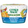 Triple Action Odor & Moisture Absorber Solid