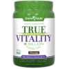 True Vitality Plant Protein Shake with DHA - Chocolate