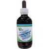 Ultra Concentrated 15:1 Liquid Chlorophyll with Dropper