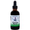 Valerian Nerve Formula Extract Liquid