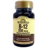 Vitamin B-12 250 mcg