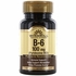 Vitamin B-6 100 mg
