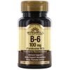 Vitamin B-6 100 mg
