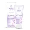 Baby Derma White Mallow Face Cream