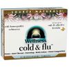 Wellness Cold and Flu Homeopathic