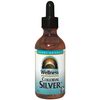 Wellness Colloidal Silver 45 PPM Liquid