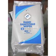 WipesPlus Hand Sanitizing Wipes, Alcohol Free, 80 ct