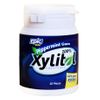 Xylitol Gum, Peppermint
