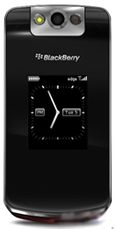 Blackberry Pearl Flip 8220 Accessories