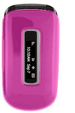 Samsung M240 Pink Case