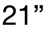 21 INCH