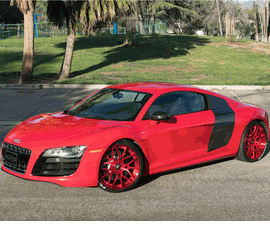 AUDI R8 FORGIATO MAGLIA-ECL
