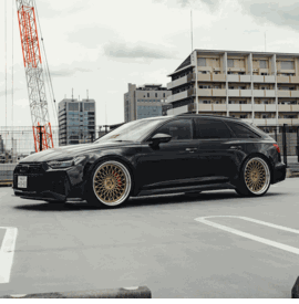 AUDI RS6 AL13 C020