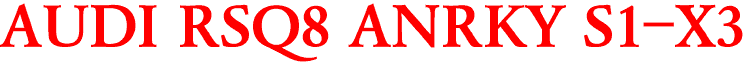 AUDI RSQ8 ANRKY S1-X3