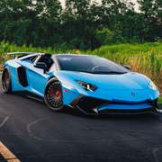 LAMBORGHINI AVENTADOR SV AL13 C020