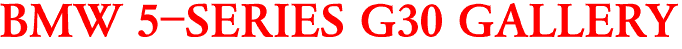BMW 5-SERIES G30 GALLERY