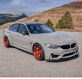 BMW M3 F80 HRE RS102M