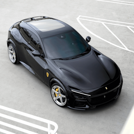 FERRARI PUROSANGUE ANRKY RS5.3