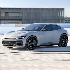 FERRARI PUROSANGUE ANRKY XR-205