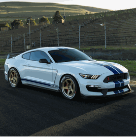FORD SHELBY GT350 HRE 305
