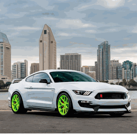 FORD SHELBY GT350R HRE R101