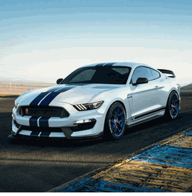 FORD SHELBY GT350R HRE R101