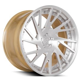 FORGIATO TEC 2.5 FINISHED IN BRUSHED AND GOLD