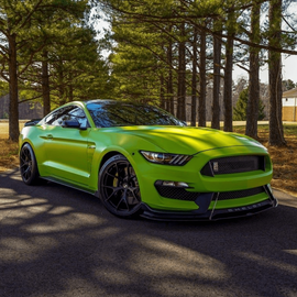 FORD SHELBY GT350 SIGNATURE SV104